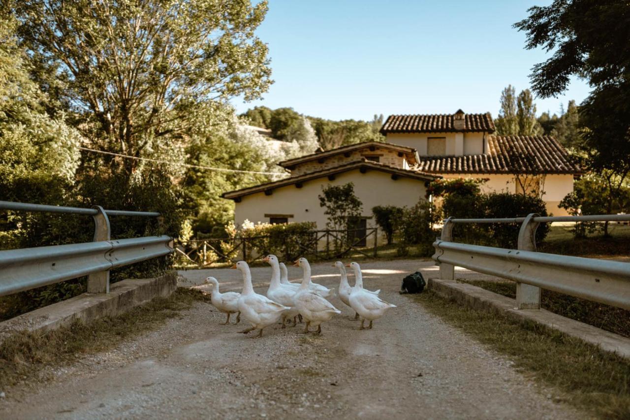 Agriturismo Le Radici อุมแบร์ทิเดอ ภายนอก รูปภาพ