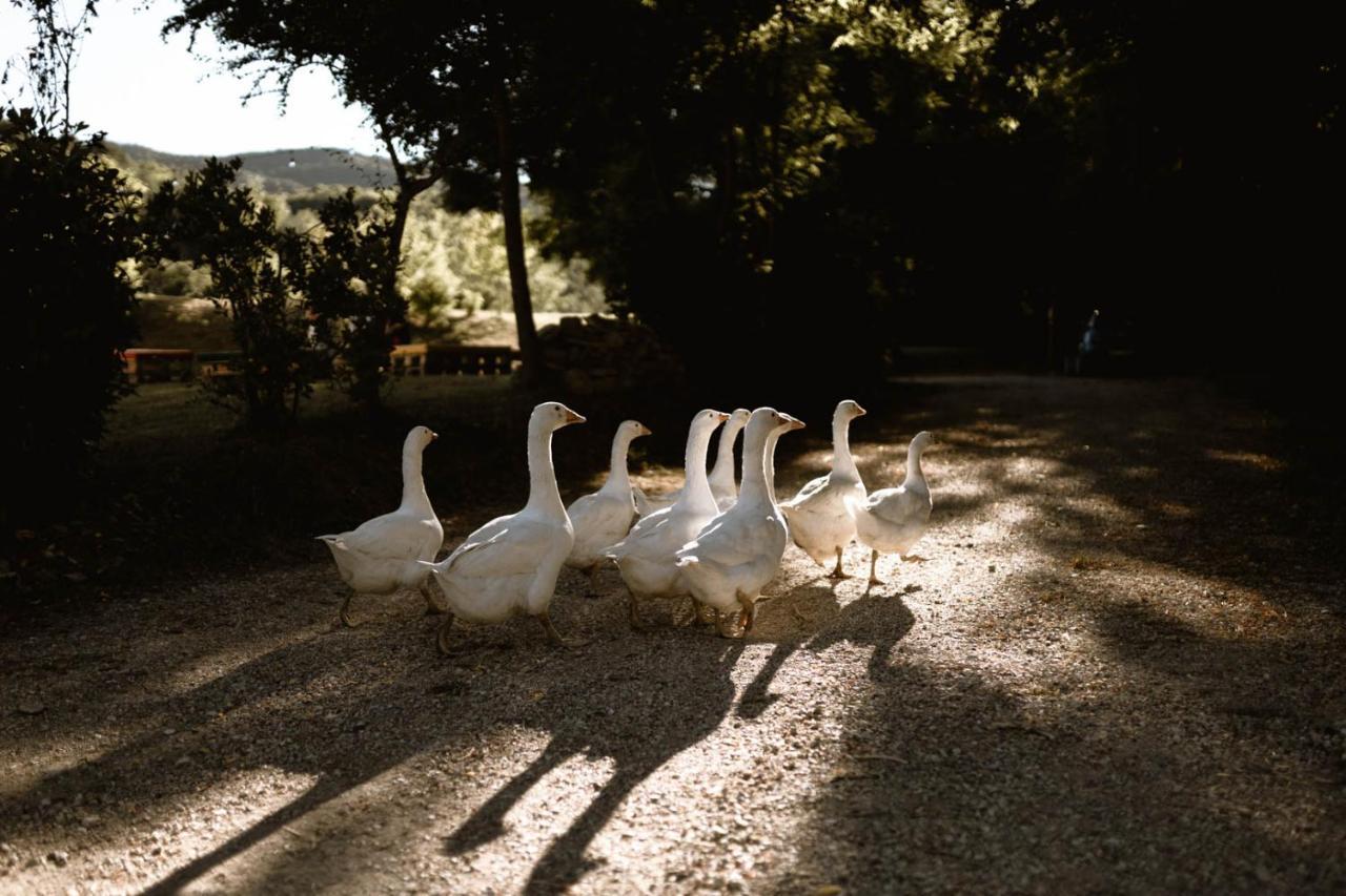 Agriturismo Le Radici อุมแบร์ทิเดอ ภายนอก รูปภาพ