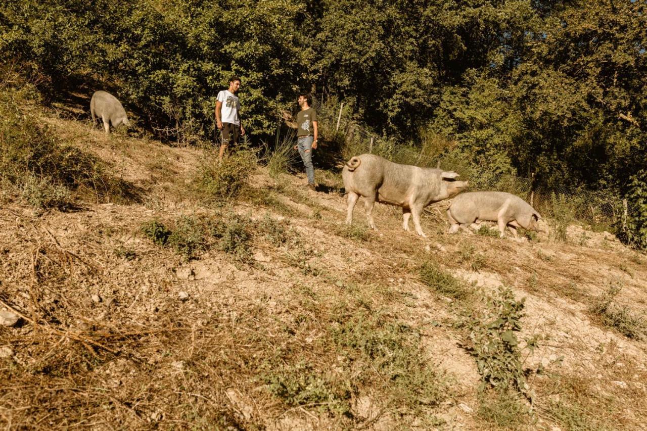 Agriturismo Le Radici อุมแบร์ทิเดอ ภายนอก รูปภาพ