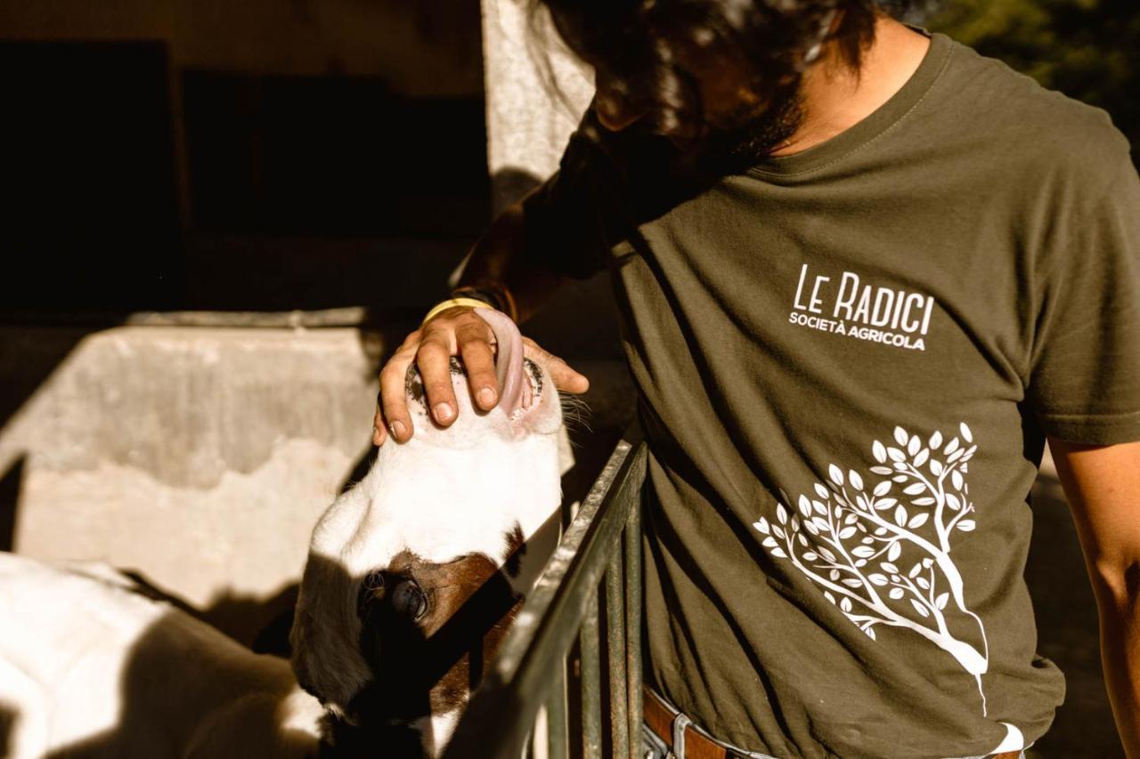 Agriturismo Le Radici อุมแบร์ทิเดอ ภายนอก รูปภาพ