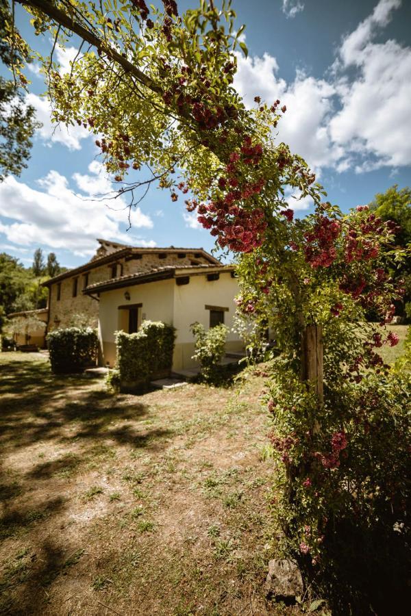 Agriturismo Le Radici อุมแบร์ทิเดอ ภายนอก รูปภาพ